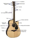 Diagram of an Acoustic Guitar