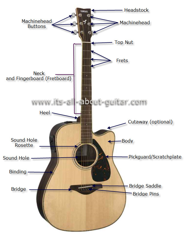 acoustic guitar strings labeled